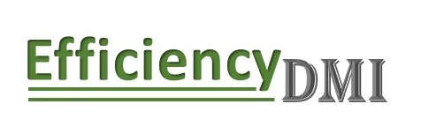 EfficiencyDMI LOGO